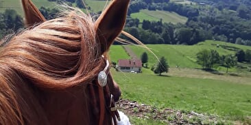 Trace equestre des ballons comtois