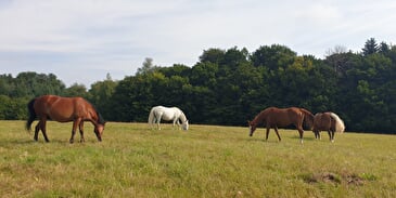 La Ferme du Petit Galop