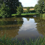 Guesthouse from Mr François TREIBER : Chalet Lindenhag