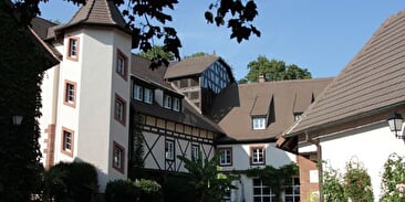 Meublé de tourisme Le Moulin Vollach