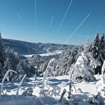 The Bagenelles sled
