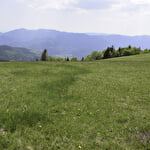 Family Walks: Markstein and the Peak Route
