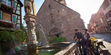 Cyclo ride, without luggage, through the valley of Kaysersberg