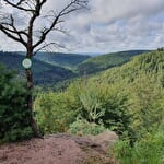 Trail des 3 rochers