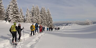 PATRICE MATHIEU - ACCOMPANIED SNOWHOE HIKING