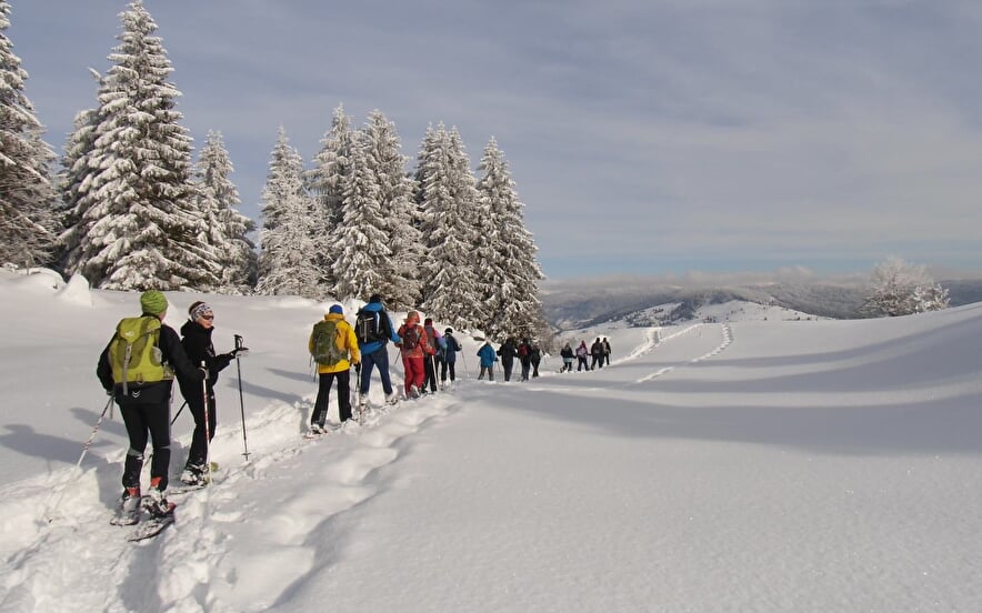 PATRICE MATHIEU - ACCOMPANIED SNOWHOE HIKING