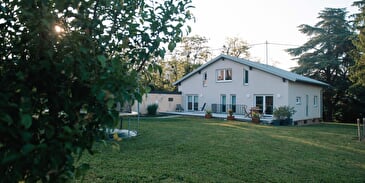 The Cedar House