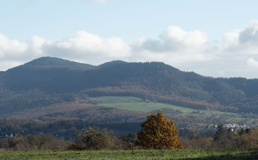 Gîte de France n° 190