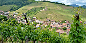 Medieval hiking tour