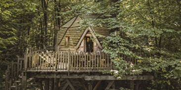 Cabane enchantée