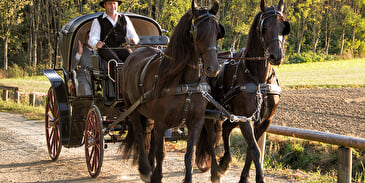 Les attelages du moulin