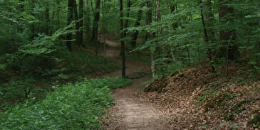 Parcours de santé à Châtenois