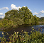 Pêche aux guidons