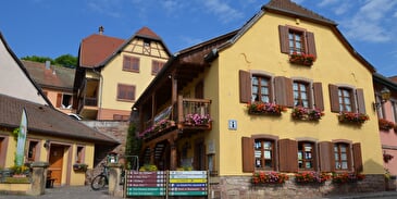 Mont Sainte-Odile Intercommunal Tourist Office, Ottrott office