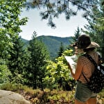 Revitalizing AE mountain biking and forest bathing break in the Northern Vosges mountains