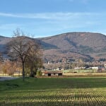 Meublé de tourisme : gîte le Nid