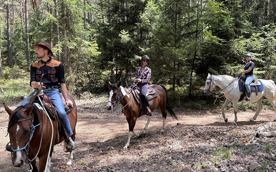 Balade équestre : Sur la piste du trappeur