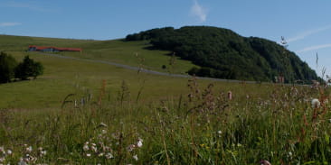 Le Ballon d'Alsace moutain summer resort