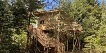 LES CABANES DU LAC DE PIERRE PERCÉE - LA CABANE GALILÉ