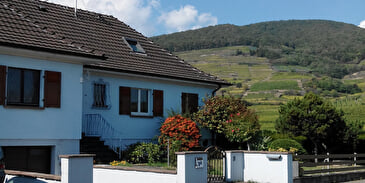 Mister SCHIEBER Olivier - Holiday accommodation Weinbaechle