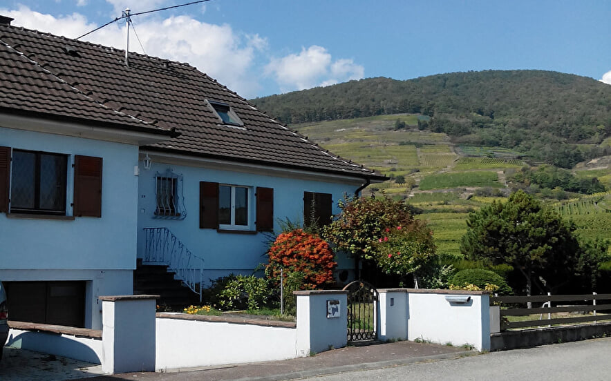 Mister SCHIEBER Olivier - Holiday accommodation Weinbaechle