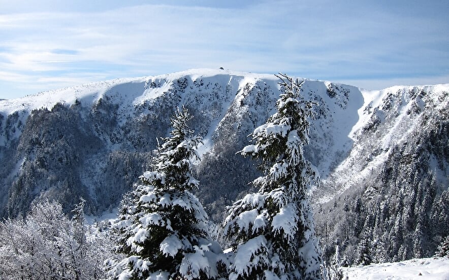 L'AUTRE MONTAGNE