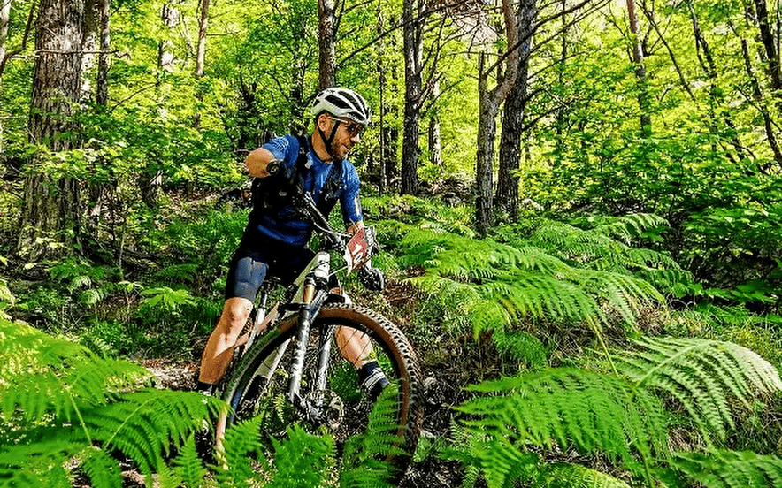 Expérimentez à VTT la mythique traversée du Massif des Vosges sur le GR 53 avec transport de bagages