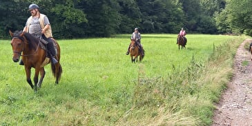 Équitation Passion