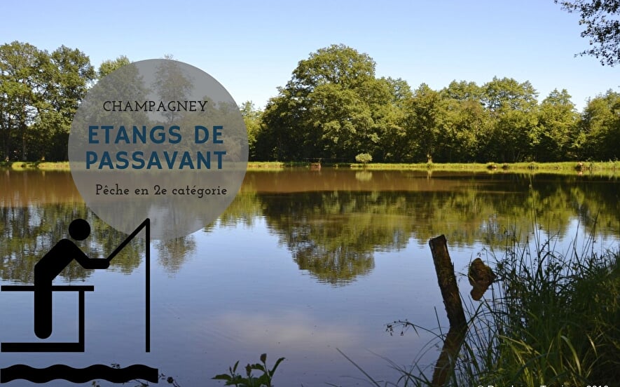 Etangs de Passavant