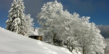 Thanner Hubel resort