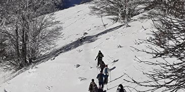 PIERRE GUIDAT - SNOWSHOE HIKES