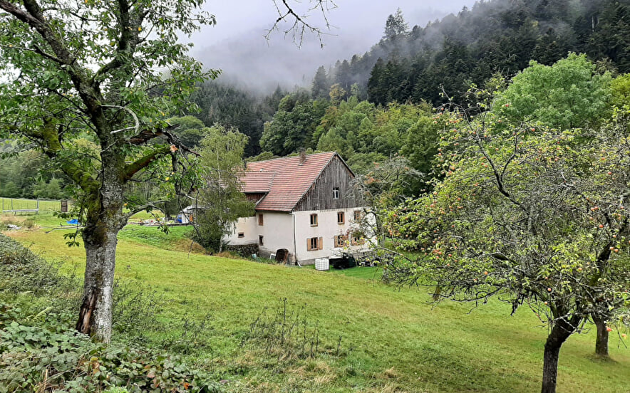 Accommodation "chaleureux à la montagne" (8 people)