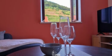 Rental La Vue des Vignes