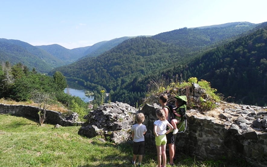 Walks for the family “Wildenstein Castle ruins and Schlossberg circuit”