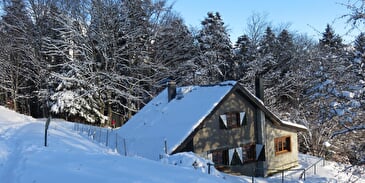 Mountain shelter Grieb