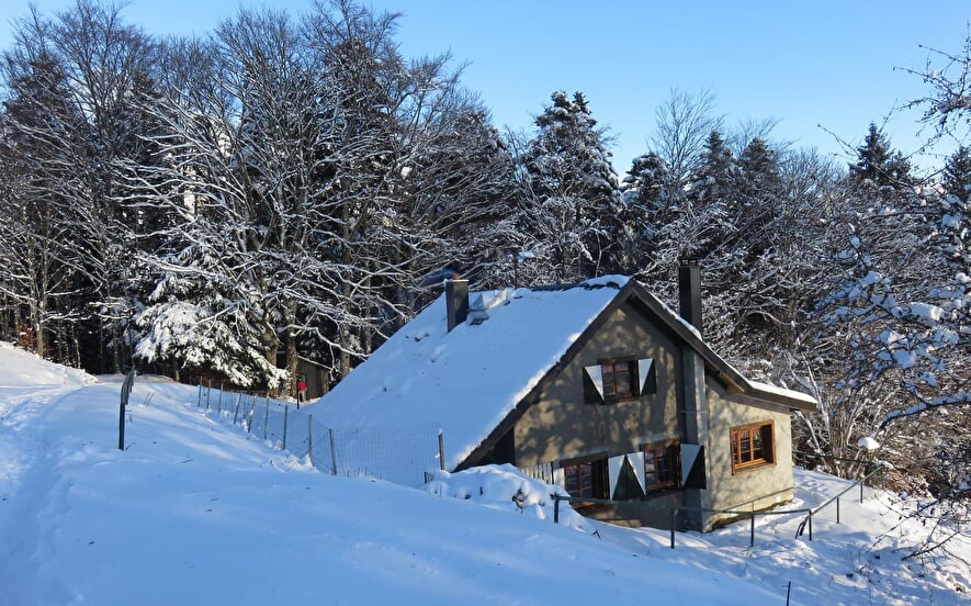 Mountain shelter Grieb