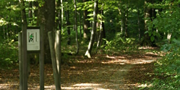 Parcours Sportif - Bois du Mortard