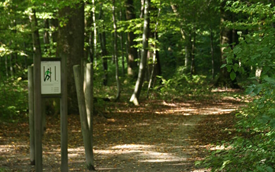 Parcours Sportif - Bois du Mortard