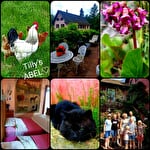 Holiday apartment Abel - HAZEMANN Elisabeth
