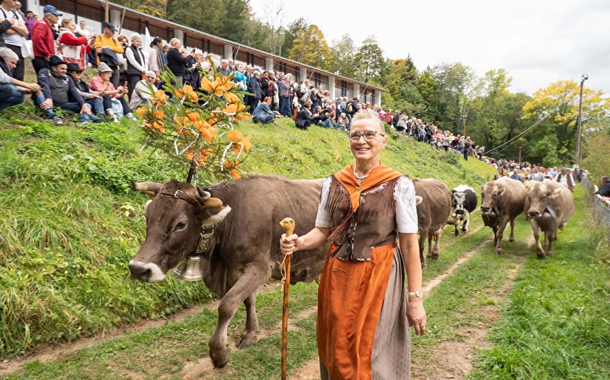 Transhumance festival