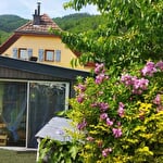 Cozy Tiny House Vacation Rental