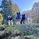 Etho'dog by VJ