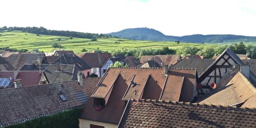 Meublé S'Harzala côté gauche