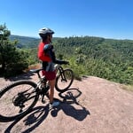 Expérimentez à VTT la mythique traversée du Massif des Vosges sur le GR 53 avec transport de bagages
