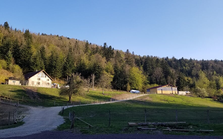 Aire de stationnement à la ferme