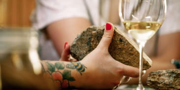 The Parenthèse Vigneronne ''Les terroirs de Grands Crus''