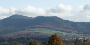 Le Bellevue