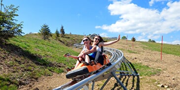 Rail toboggan