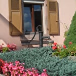 LUTTENBACH - N°42015
