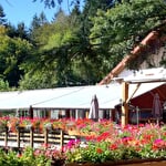 AUBERGE DE LIEZEY
